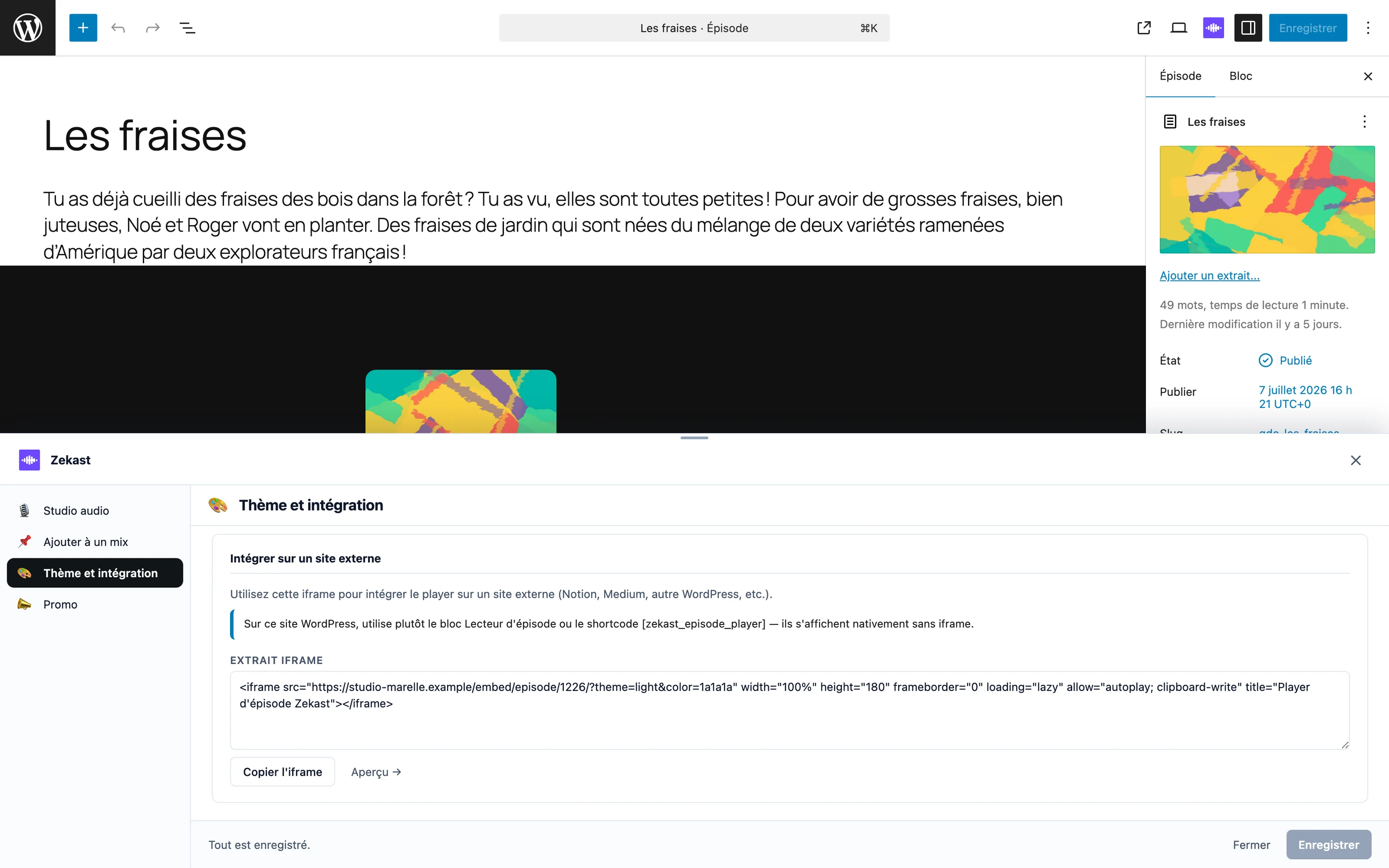 Dans l’éditeur WordPress, la boîte qui génère le code d’intégration d’un épisode et en montre l’aperçu avant la copie.