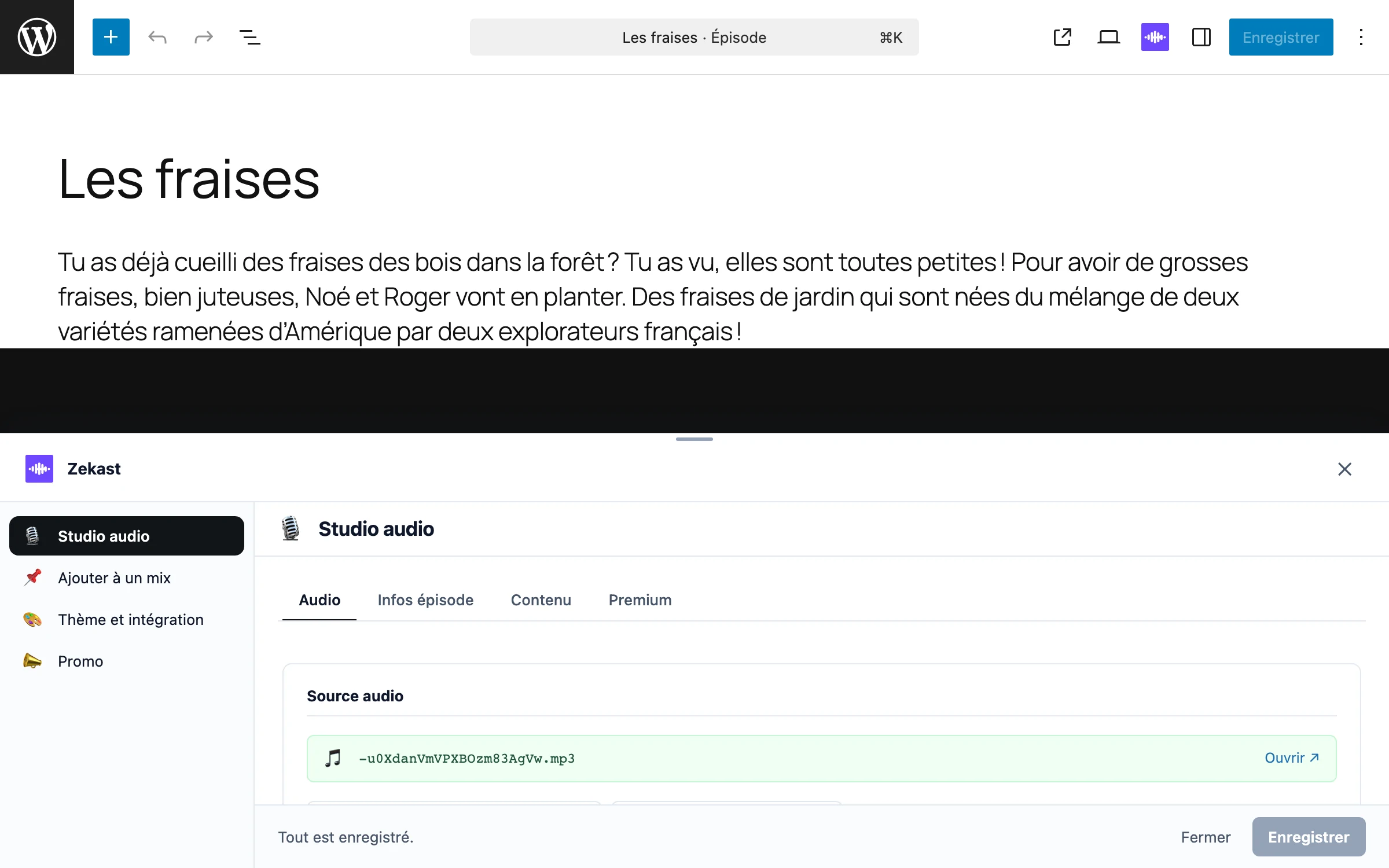 Un épisode importé, ouvert dans l’éditeur WordPress : titre et description modifiables, panneau Studio audio dessous.